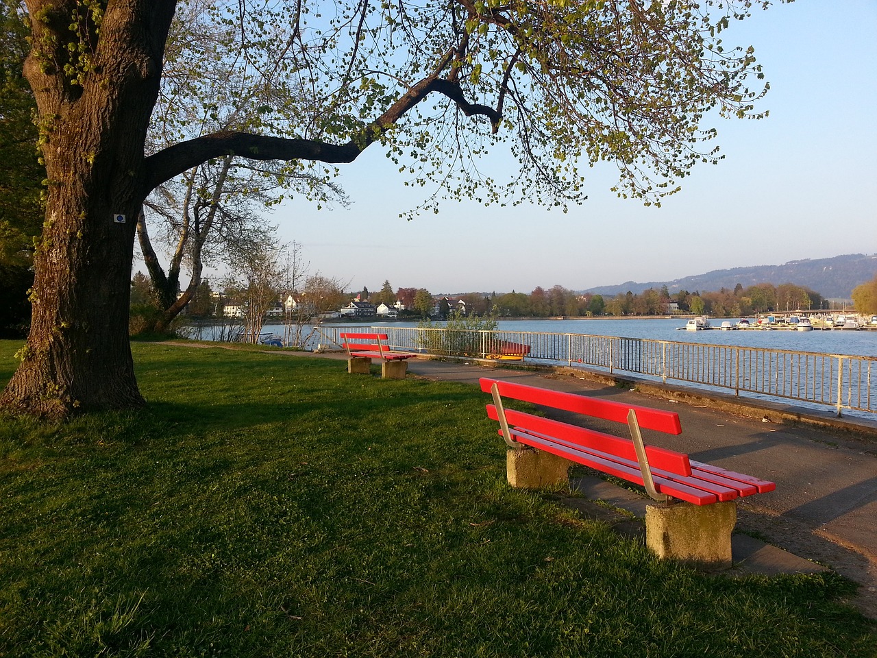 都了解它的 都了解它的