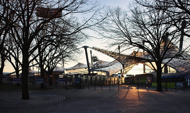 职业运动员 职业运动员