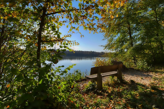 际标准设计 际标准设计