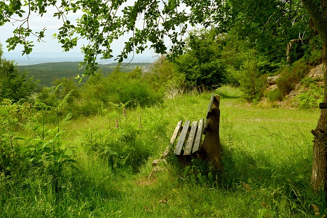 生持续的影 生持续的影