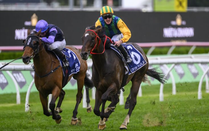 行之有效的 行之有效的